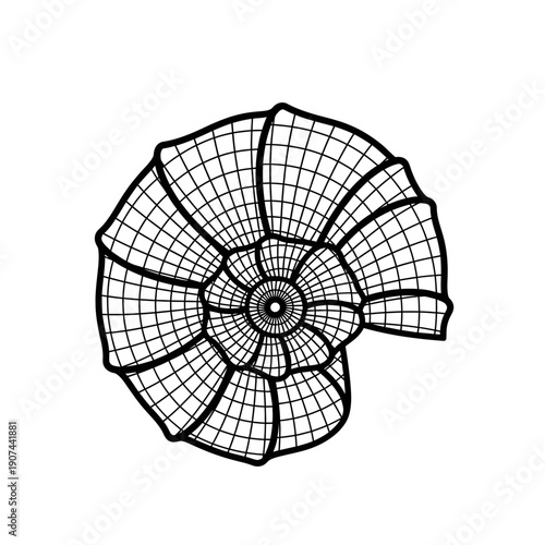 Abstract Nautilus Shell Spiral Grid Wireframe Vector