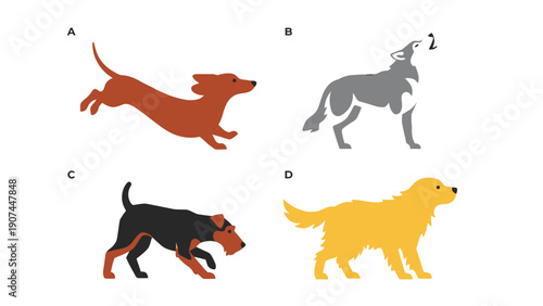 Various Dog Breeds and Wolf Vector Illustrations Set. Different Canid Animals in Flat Design Style.