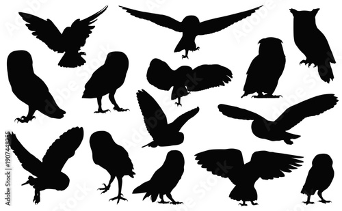 Owl Silhouettes Collection: A dynamic compilation of owl silhouettes in various poses, from soaring flight to poised perches. Showcasing the grace and mystery of the nocturnal predator.
