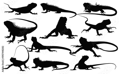 Lizard Silhouettes collection: A striking arrangement of Green iguana lizard silhouettes against a stark backdrop, capturing the graceful forms and unique character of these fascinating reptiles.
