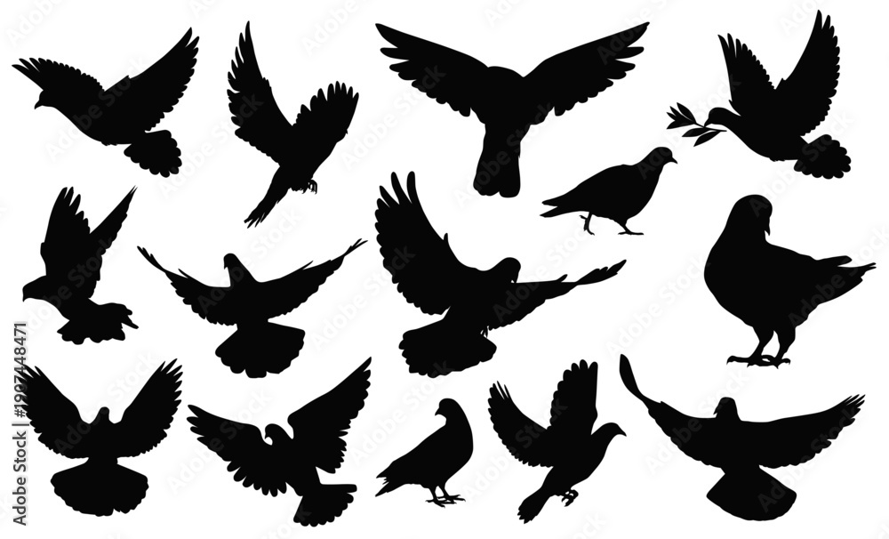 Obraz premium Soaring Dove Silhouette: An aerial ballet of doves, captured in striking silhouette, their wings gracefully outstretched in mid-flight and stillness, conveying peace and serenity.