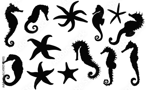 Oceanic Silhouettes: A collection of captivating aquatic silhouettes, featuring the unique forms of seahorses and starfish, capturing the enigmatic beauty of marine life.