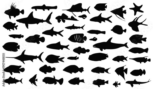 Marine Life Silhouette: A captivating arrangement of various fish silhouettes, showcasing an intricate collection of marine life forms against a clean backdrop.