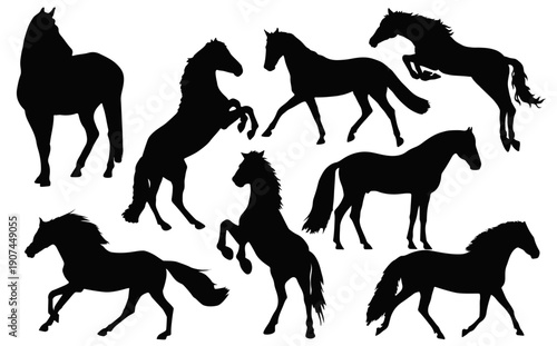 Majestic Horse Silhouettes: A collection of elegant horse silhouettes in various poses against a plain backdrop, exuding grace and power. 