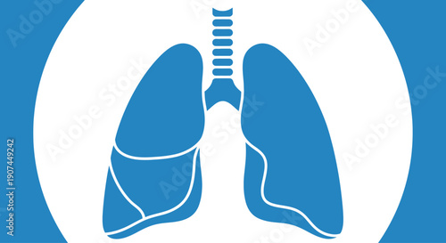 Human Lungs Anatomy Illustration for Medical and Health Concepts.