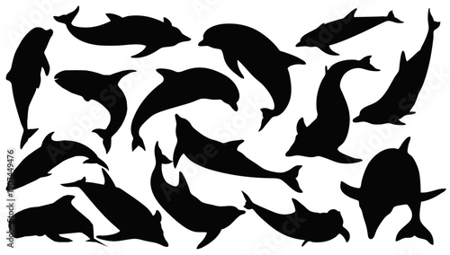 Dolphin Silhouette Display: A captivating collection of sleek dolphin silhouettes dance and play, showcasing their agility and grace in a monochrome tableau.