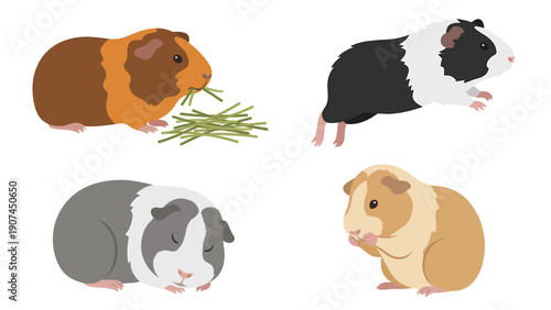 Cute Guinea Pigs Set: Pet Rodents Eating, Sleeping, and Standing. Isolated Animal Illustrations on White.