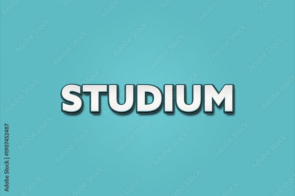 Fototapeta premium Studium (Studies) - A turquoise banner illustration with white text.