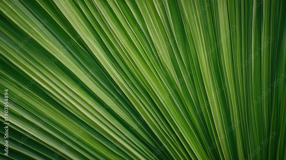 Obraz premium Full Frame Close Up of a Tropical Leaf with Deep Green Texture and Natural Patterns