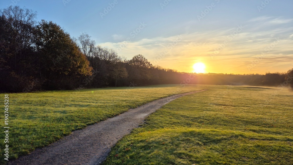 Fototapeta premium sunrise in the field