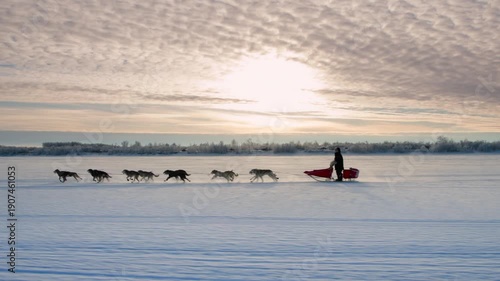 Musher with a team of sled dogs running across a vast frozen lake at sunrise in alaska, usa