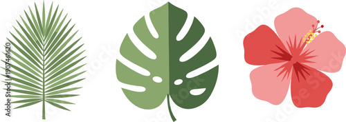 Tropical leaves and hibiscus flower illustration on a white background