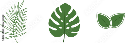 Collection of three distinct green leaves, a palm frond, monstera, and simple leaves