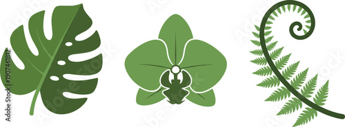 Monstera leaf, orchid flower, and fern frond in minimalist green vector art