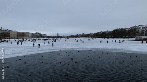 A view of a large lake in the middle of the city in winter. Many ducks swim in the water. People walk on the ice. The capital of Denmark. Copenhagen
