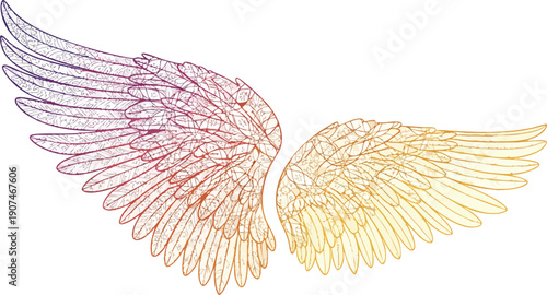 Colorful Hand Drawn Angel Wings Illustration.