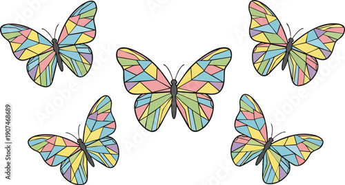 Colorful Butterflies with Vibrant Wing Patterns.