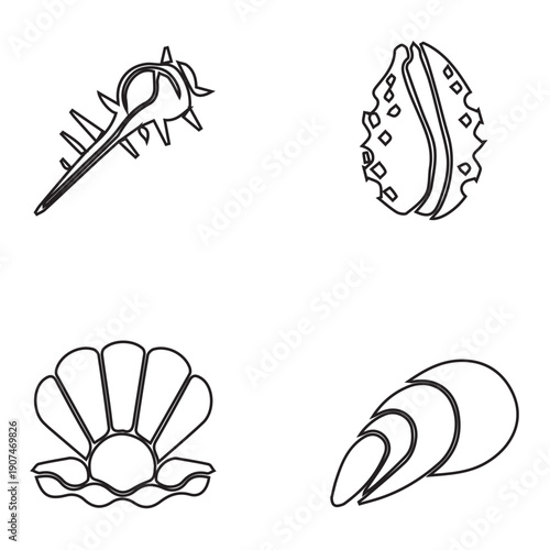 Oceanic Shells Collection