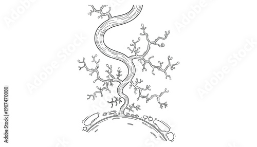 River branching drainage basin pattern flowing into stream water or sea black outline vector design