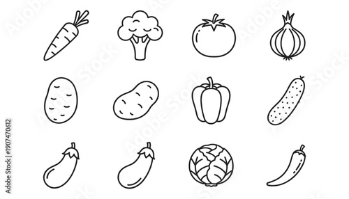 Set of vegetables assorted carrot broccoli tomato onion potato pepper cucumber eggplant