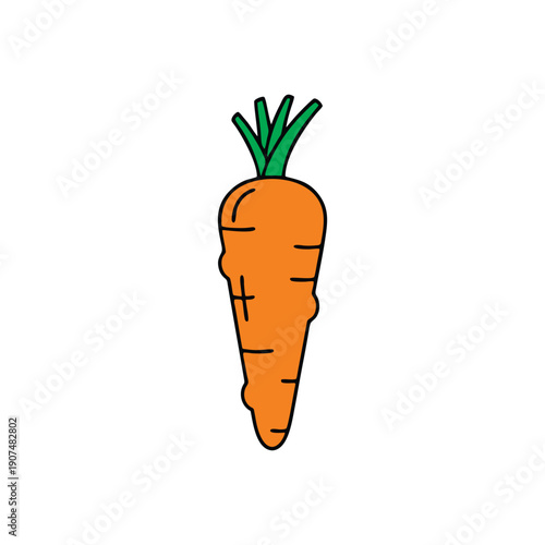 vector carrots and carrot
