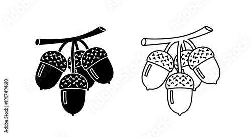 Vector illustration of a cluster of acorns on a branch, presented in both solid black silhouette and outline styles, isolated on a transparent background.
