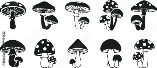 Mushroom silhouettes set isolated on white background fungi toadstool black vector illustration botanical nature icons collection minimal design