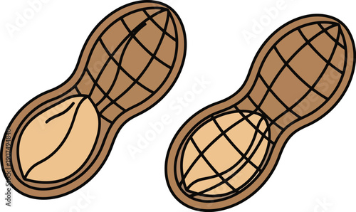 Hand drawn peanut shells half open revealing nut isolated vector illustration food ingredient vector