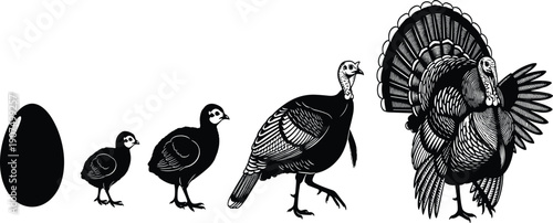 Black and White Vector Silhouette Set of Sixteen Different Mustache Styles and Facial Hair for Men Grooming Barber Shop Masculine Branding and Hipster Fashion Projects