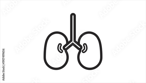 Simple line drawing of human kidneys and ureter anatomy.