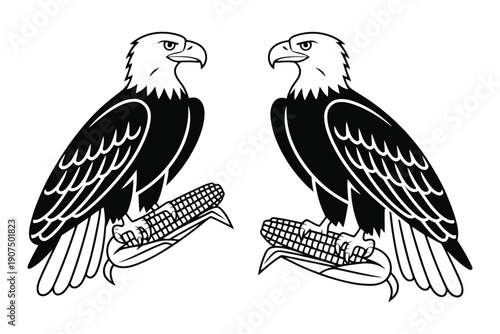 Two black and white bald eagles perched holding corn cobs in talons