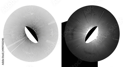 Two abstract circular designs with radiating lines and an elliptical void, one light and one dark.