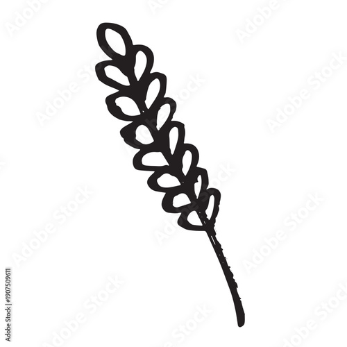 Hand drawn cereal wheat oat rye barley rice ears spikelet clipart Organic wheat bread agriculture farming harvest healthy food Single element for print packaging label design decor