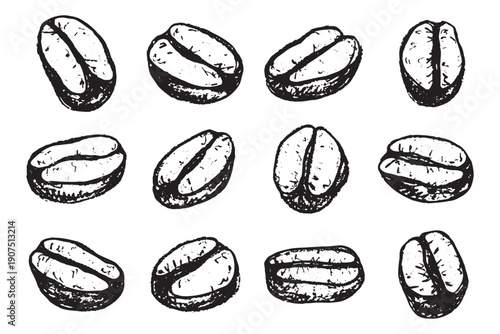Set of hand drawn fresh roasted coffee bean Arabica robusta seed doodle Single element for design print packaging label decor