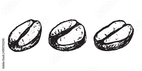 Set of hand drawn fresh roasted coffee bean Arabica robusta seed doodle Single element for design print packaging label decor