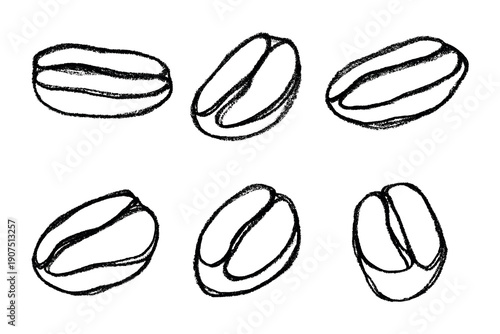 Set of hand drawn fresh roasted coffee bean Arabica robusta seed doodle Single element for design print packaging label decor