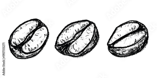 Set of hand drawn fresh roasted coffee bean Arabica robusta seed doodle Single element for design print packaging label decor