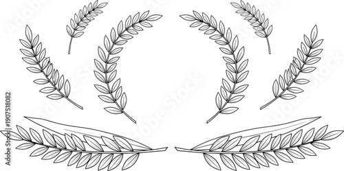 Laurel wreaths, wheat stalks, botanical branches, hand drawn floral sketches, victory symbols, nature elements, award frames, organic decorative borders.