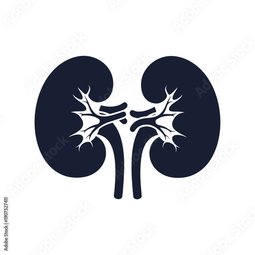 Stylized Silhouette of Human Kidneys with Blood Vessels.