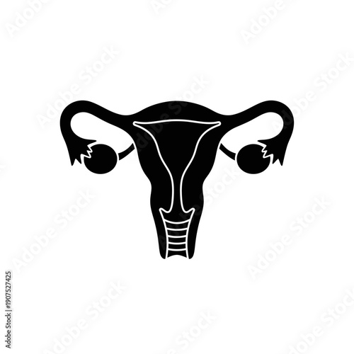 Stylized Black Silhouette of the Female Reproductive System.