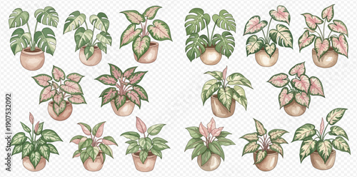 Watercolor illustration set of various potted houseplants including Monstera, Caladium, and Syngonium, perfect for botanical designs.