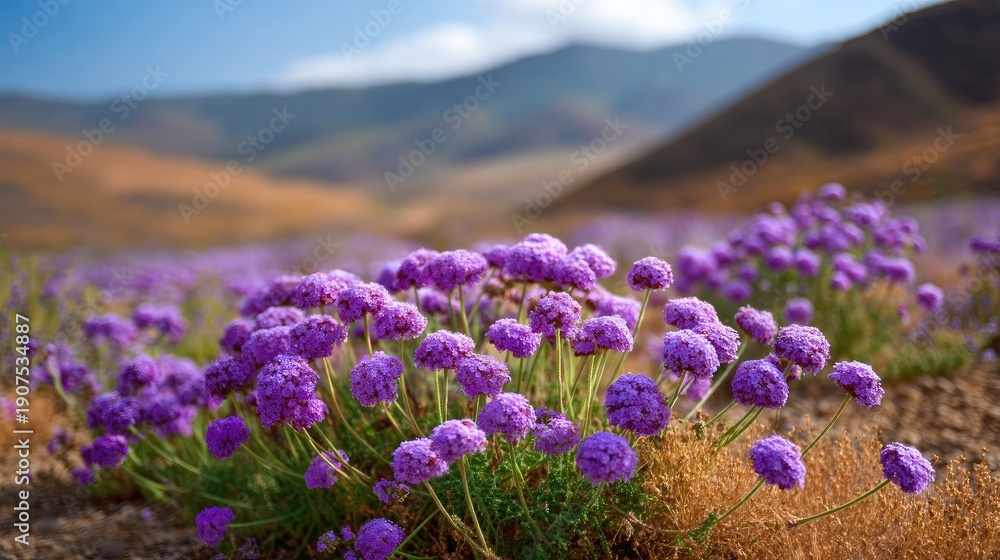 Obraz premium Vibrant Purple Flowers Blooming in a Scenic Landscape with Mountains Under a Clear Sky