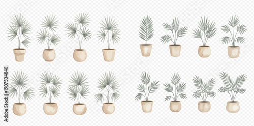 Set of watercolor potted plants, including palm trees, for home and office decoration.