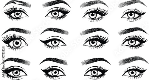 Collection of Hand Drawn Female Eye and Eyebrow Illustrations With Eyelashes and Eyeliner for Beauty Salon Makeup Microblading Branding and Cosmetic Fashion Design