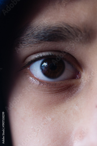 Obraz na plátně Human Eye Close Up With Brown Iris Showing Vision Focus And Perception