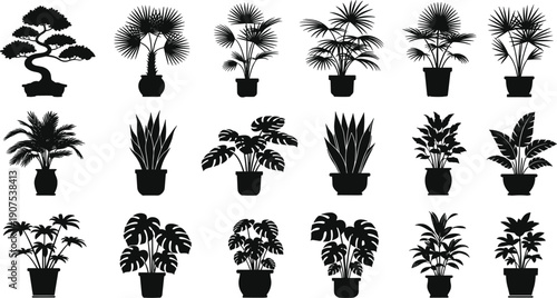 Large Set of Black Silhouette Houseplant Icons in Decorative Pots Including Monstera Palms and Snake Plants Isolated on White Background for Graphic Design Projects