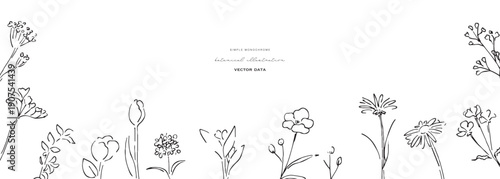 植物の線画イラスト。植物のベクターイラスト背景。葉っぱと花の背景フレーム。
Botanical line art illustration. Botanical vector illustration background. Leaves and flowers background frame.