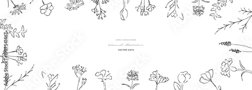 植物の線画イラスト。植物のベクターイラスト背景。葉っぱと花の背景フレーム。
Botanical line art illustration. Botanical vector illustration background. Leaves and flowers background frame.