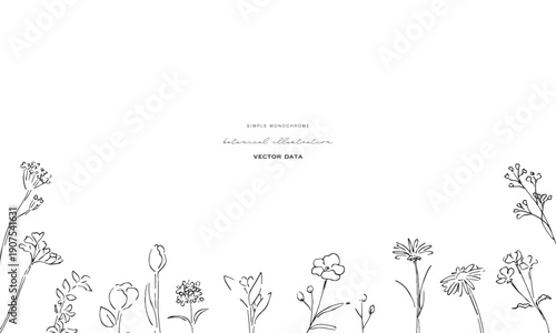 植物の線画イラスト。植物のベクターイラスト背景。葉っぱと花の背景フレーム。
Botanical line art illustration. Botanical vector illustration background. Leaves and flowers background frame.
