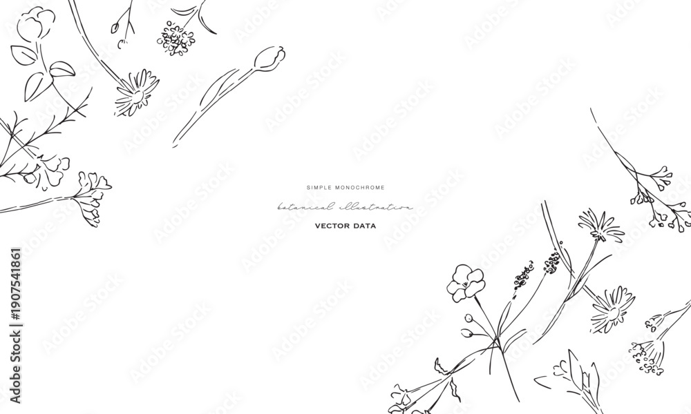 Fototapeta premium 植物の線画イラスト。植物のベクターイラスト背景。葉っぱと花の背景フレーム。 Botanical line art illustration. Botanical vector illustration background. Leaves and flowers background frame.
